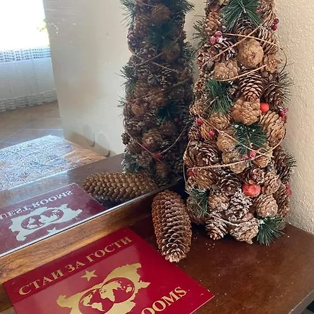 Art 4* Saparewa Banja