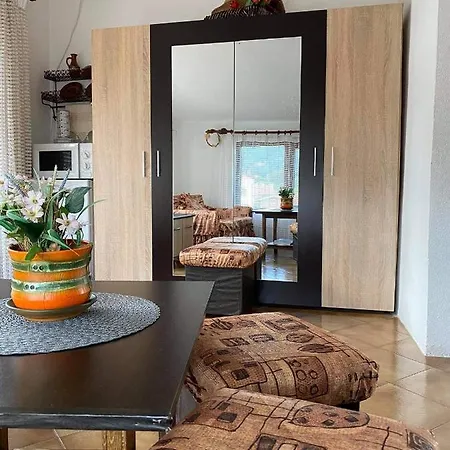 Art 招待所 萨帕雷瓦巴尼亚