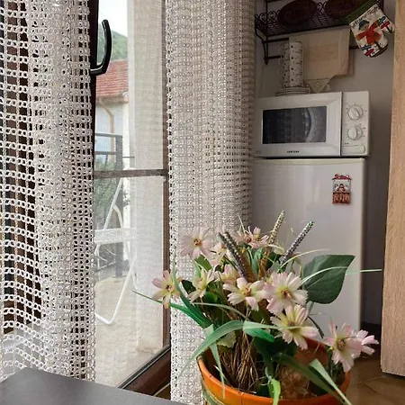 Art 4* Saparewa Banja