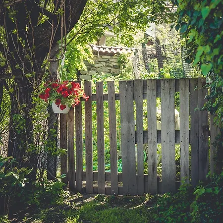 Art 4* Saparewa Banja