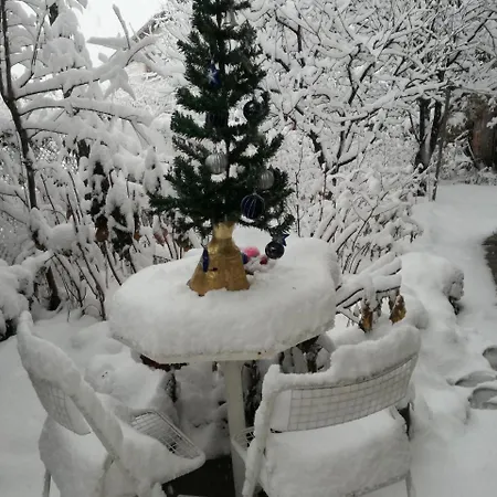 Art 招待所 萨帕雷瓦巴尼亚