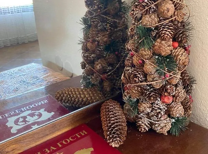 Art 4* Sapareva Banja