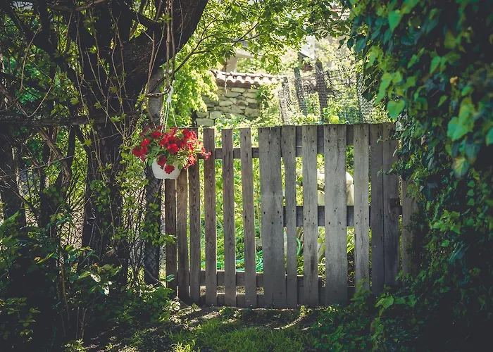 Art 4* Sapareva Banja