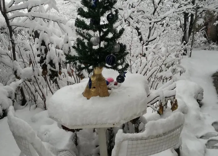 Art Penzion Sapareva Banja